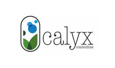 Calyx