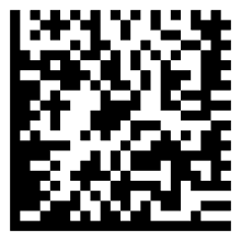 Data Matrix Codes